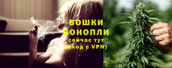 PSILOCYBIN Волосово