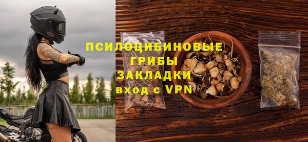 ешки Верхний Тагил
