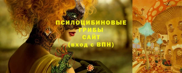 соль ск Верхнеуральск